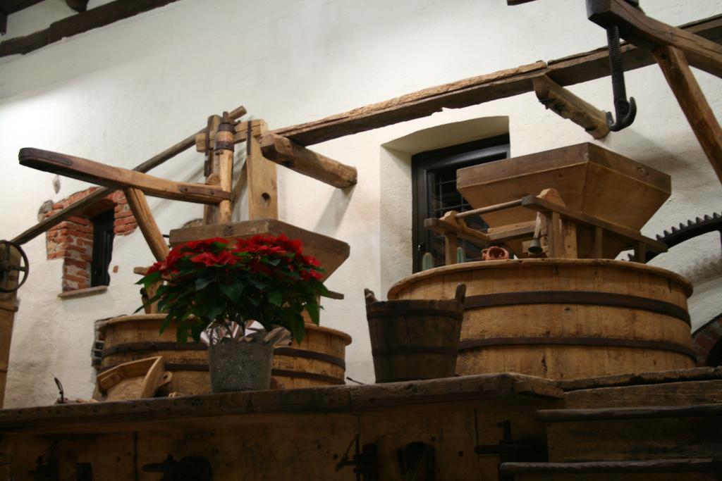Il Vecchio Mulino Di Bairo Guest House ภายนอก รูปภาพ
